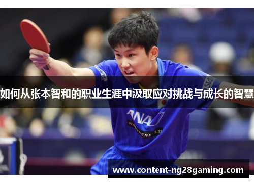 如何从张本智和的职业生涯中汲取应对挑战与成长的智慧