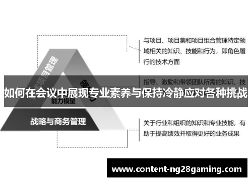 如何在会议中展现专业素养与保持冷静应对各种挑战