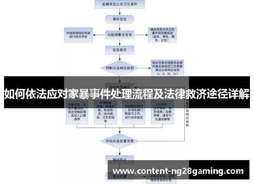 如何依法应对家暴事件处理流程及法律救济途径详解