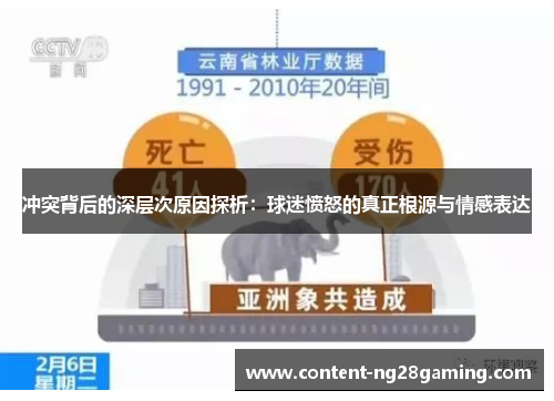 冲突背后的深层次原因探析：球迷愤怒的真正根源与情感表达