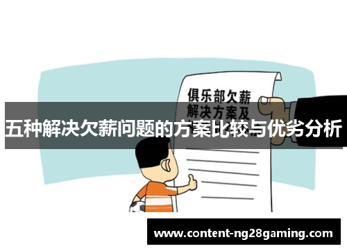 五种解决欠薪问题的方案比较与优劣分析