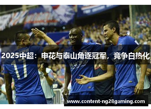 2025中超：申花与泰山角逐冠军，竞争白热化