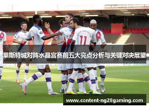 莱斯特城对阵水晶宫赛前五大亮点分析与关键对决展望