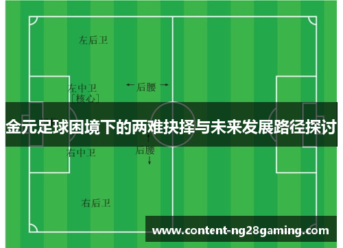 金元足球困境下的两难抉择与未来发展路径探讨