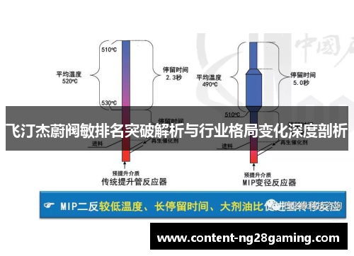 飞汀杰蔚阀敏排名突破解析与行业格局变化深度剖析