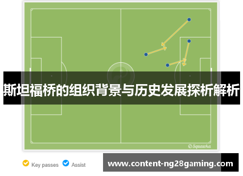 斯坦福桥的组织背景与历史发展探析解析