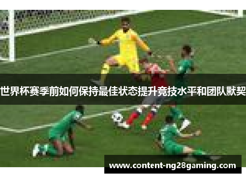世界杯赛季前如何保持最佳状态提升竞技水平和团队默契