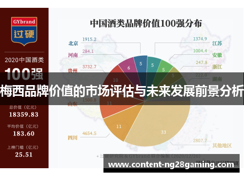 梅西品牌价值的市场评估与未来发展前景分析